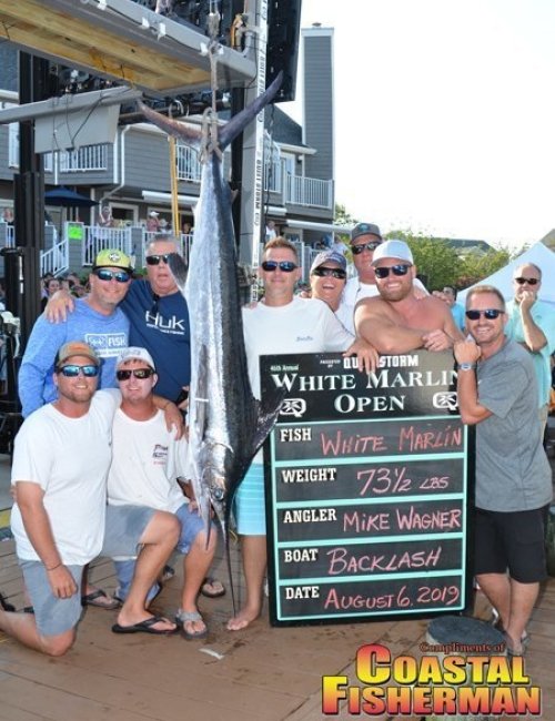 Backlash-white-marlin-6x8.jpg